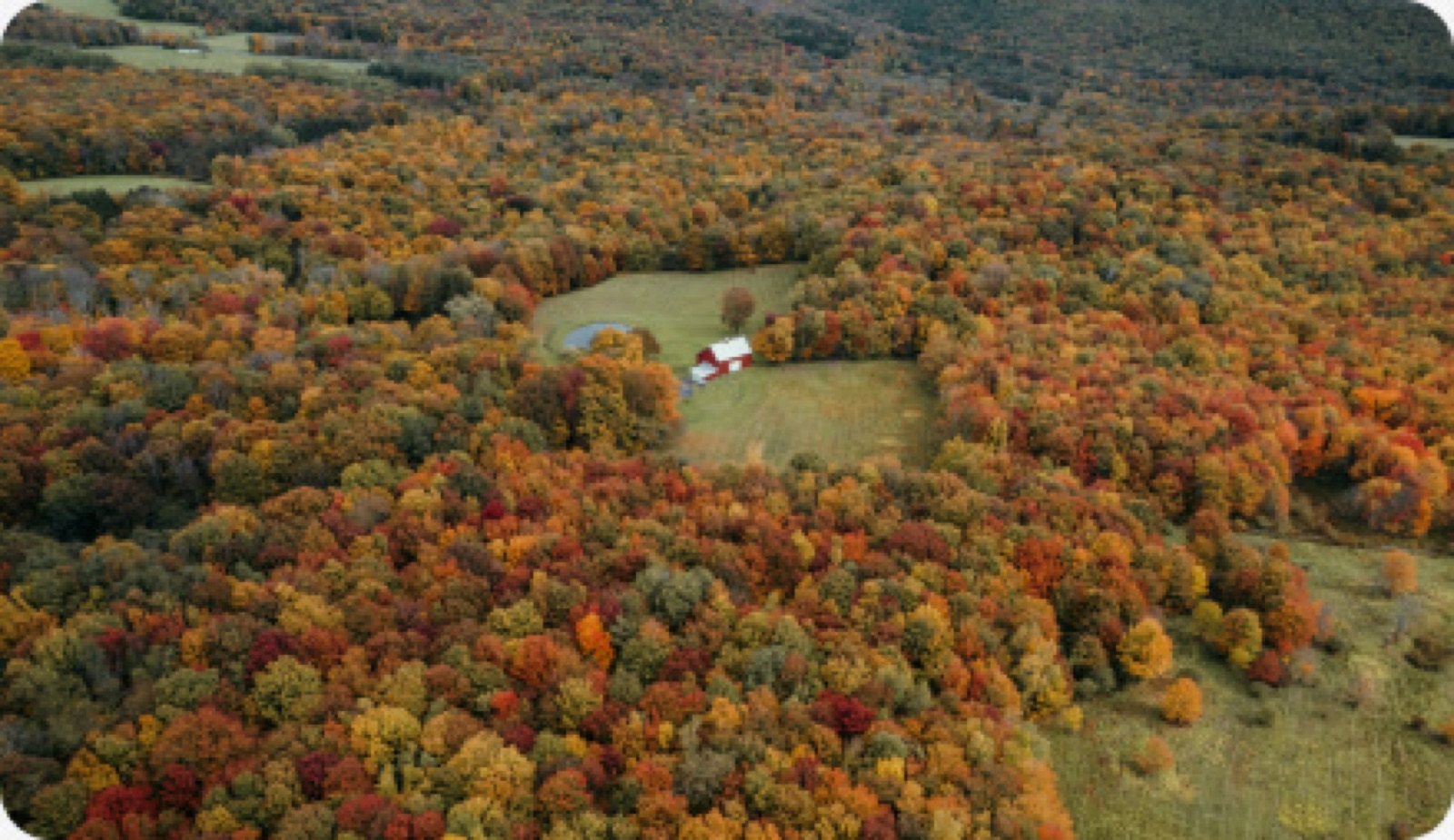 Catskills Fine Homes