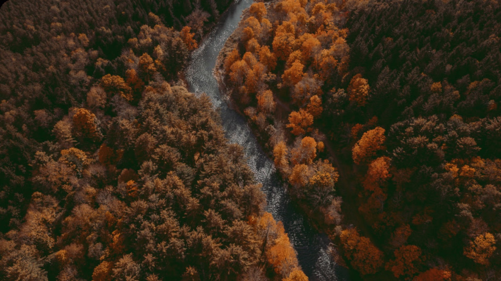 Catskills Fine Homes