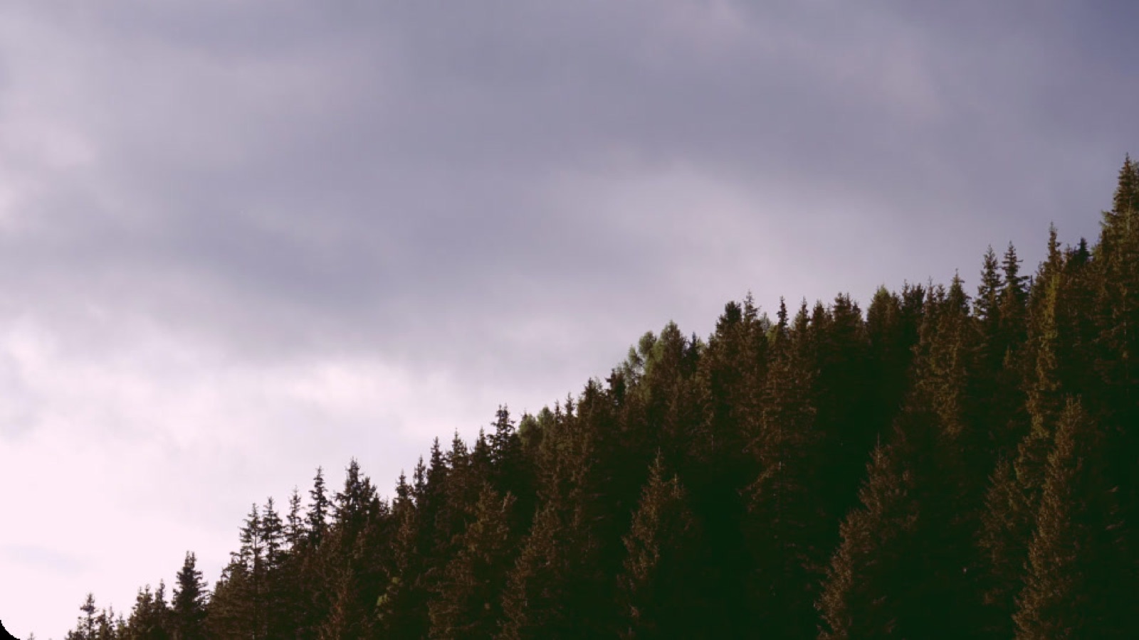 Catskills Fine Homes