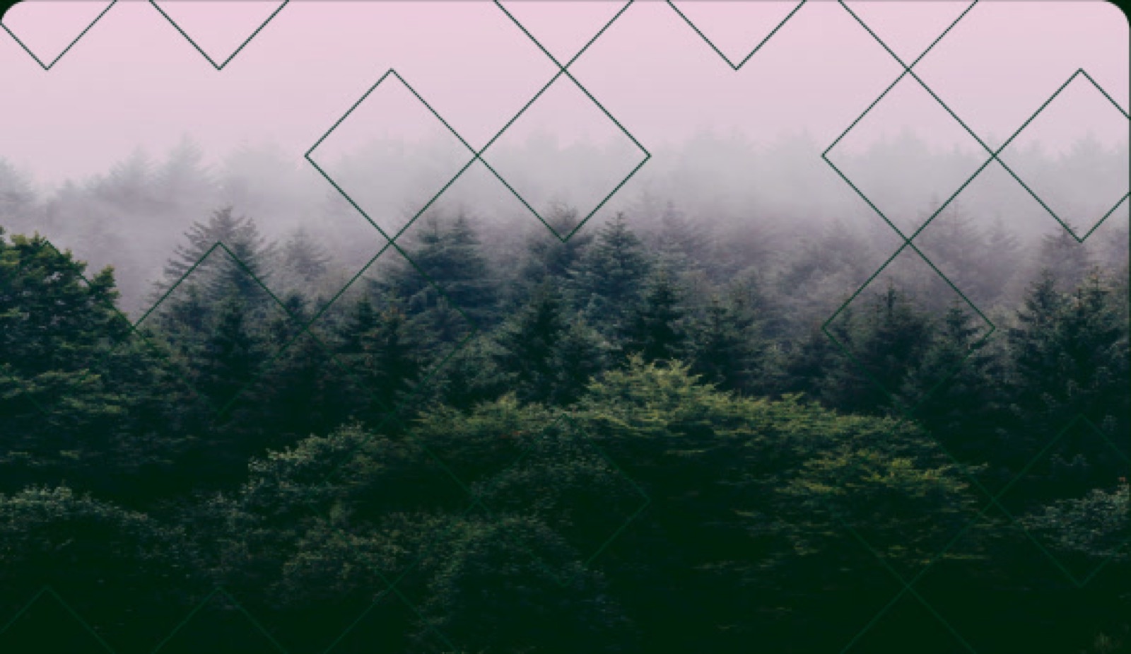 Catskills Fine Homes