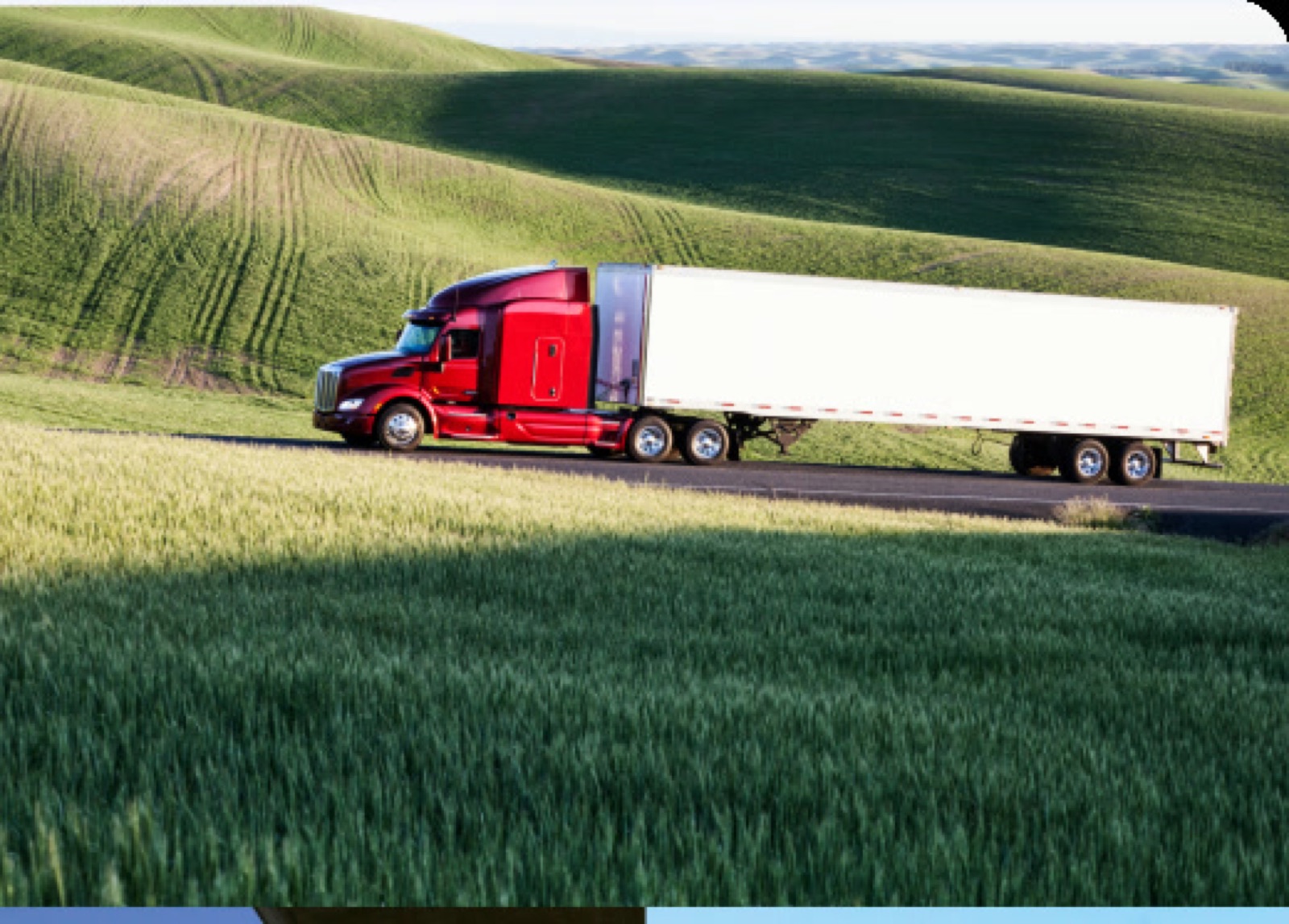 Freight Horse