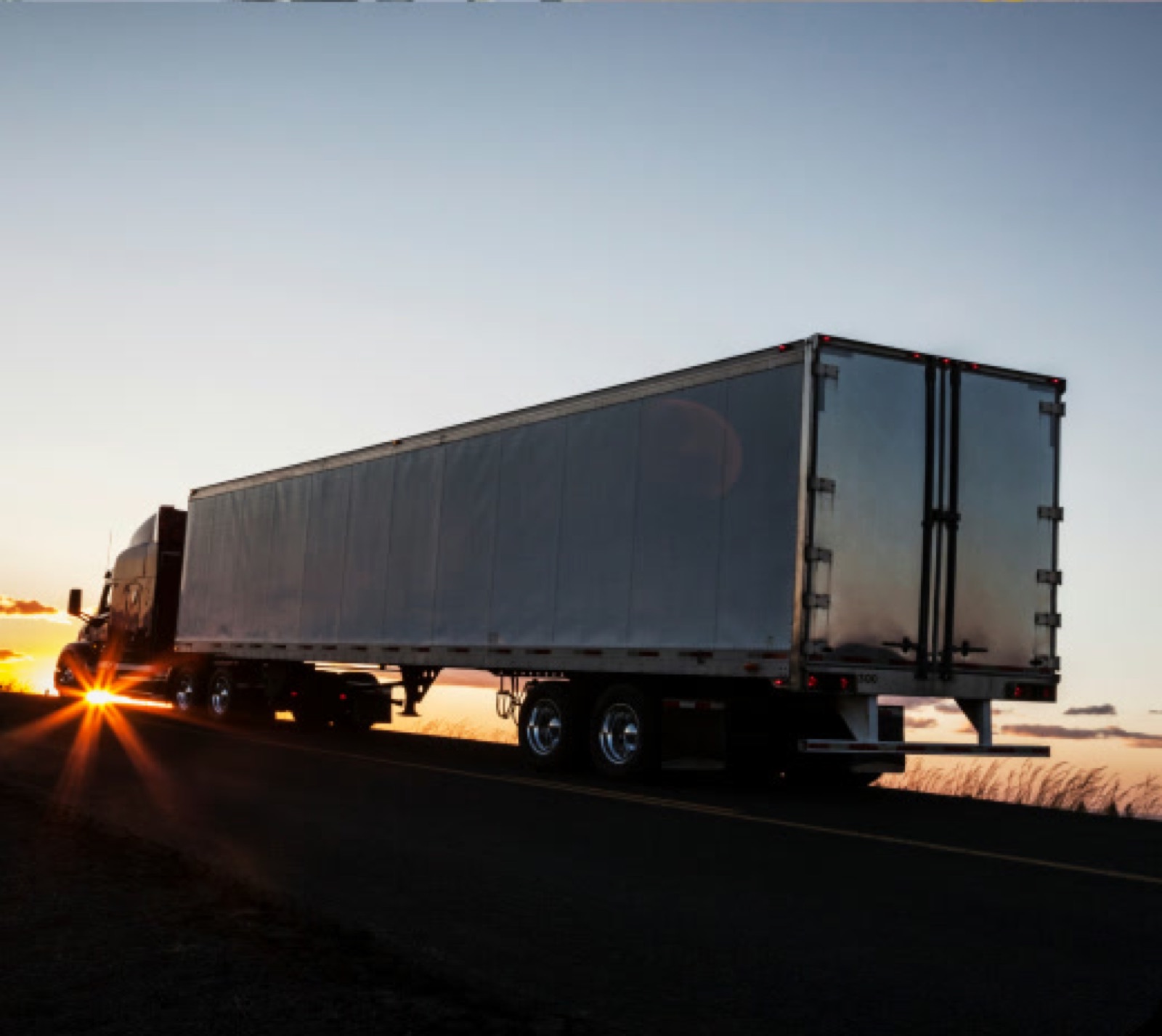 Freight Horse