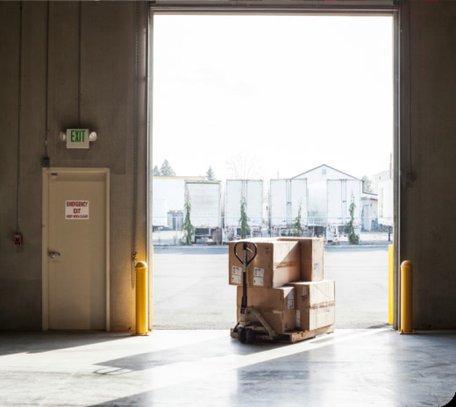 Freight Horse