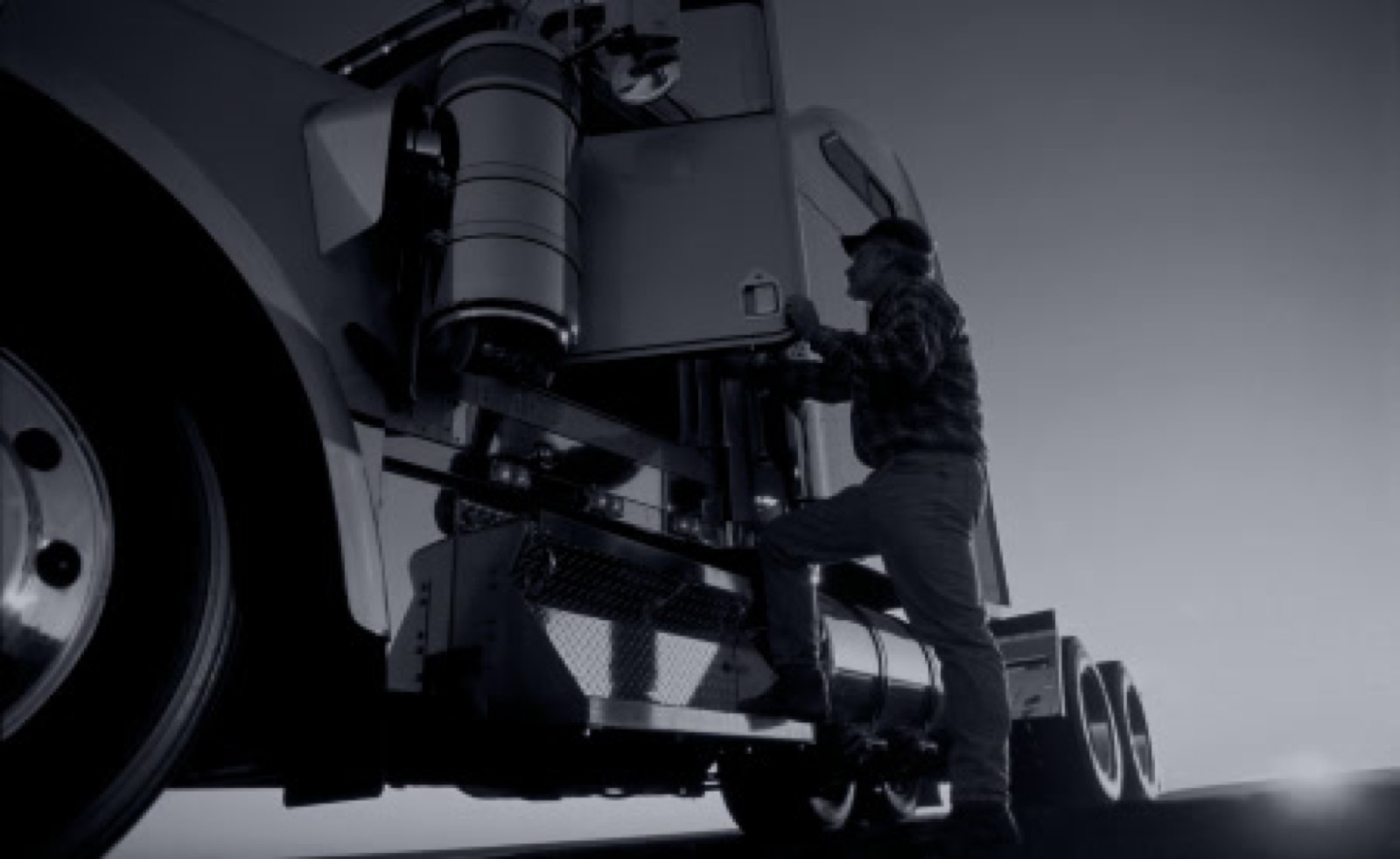 Freight Horse