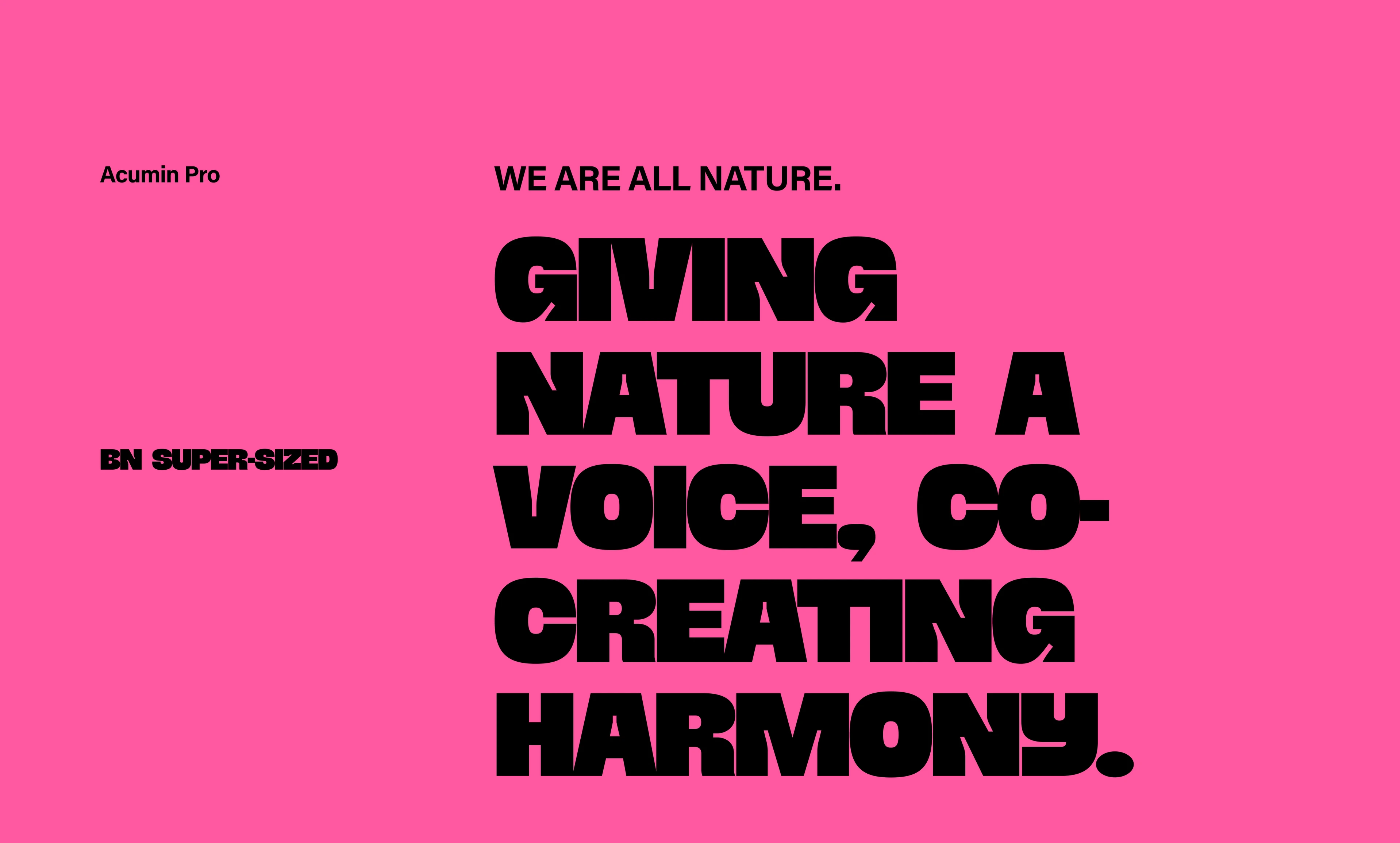 FSON — Giving nature a voice, co-creating harmony