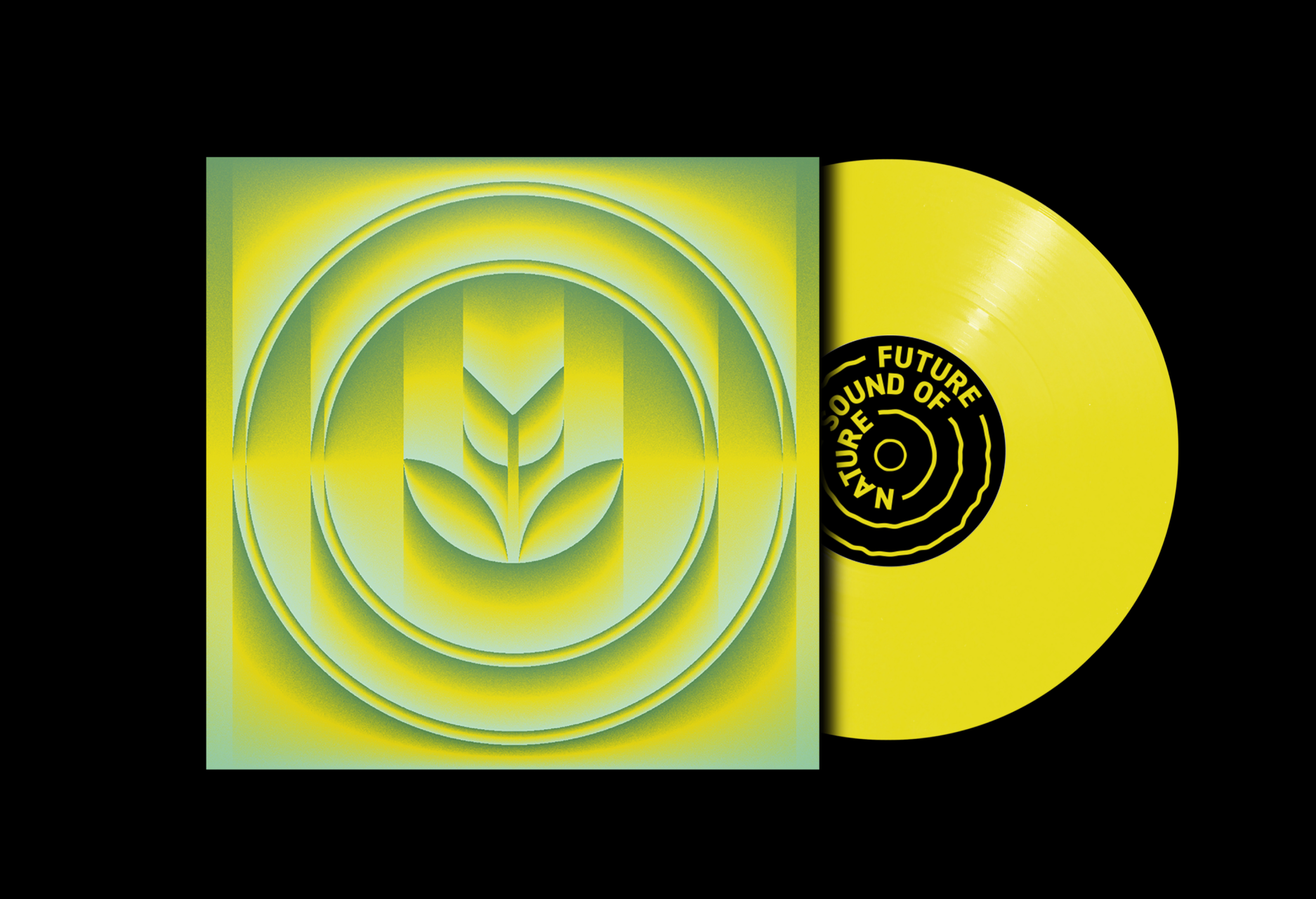 FSON — vinyl cover