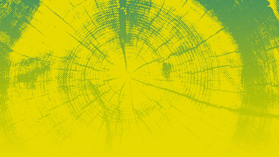 FSON texture — tree rings