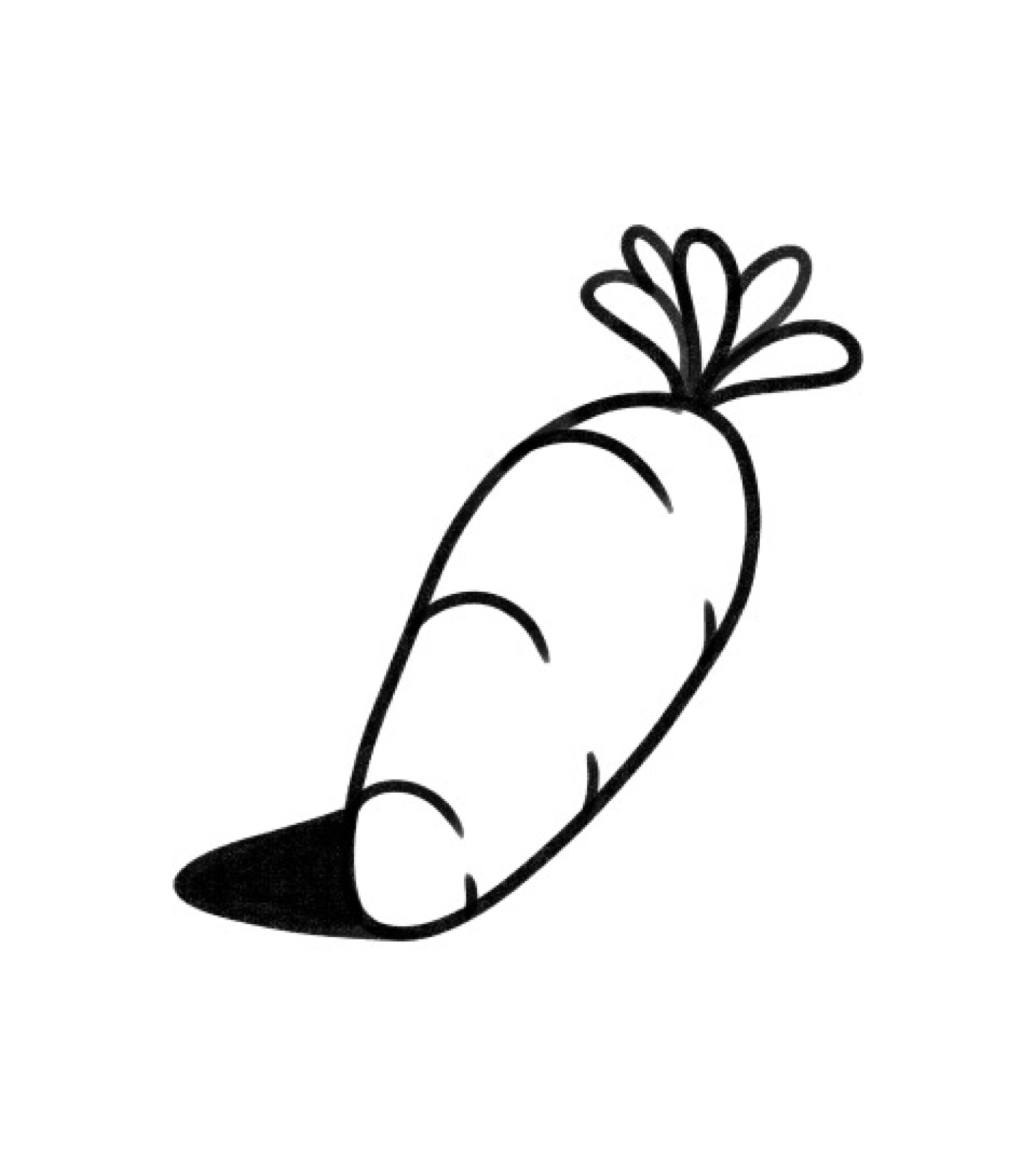 Hale & Hearty — illustrations