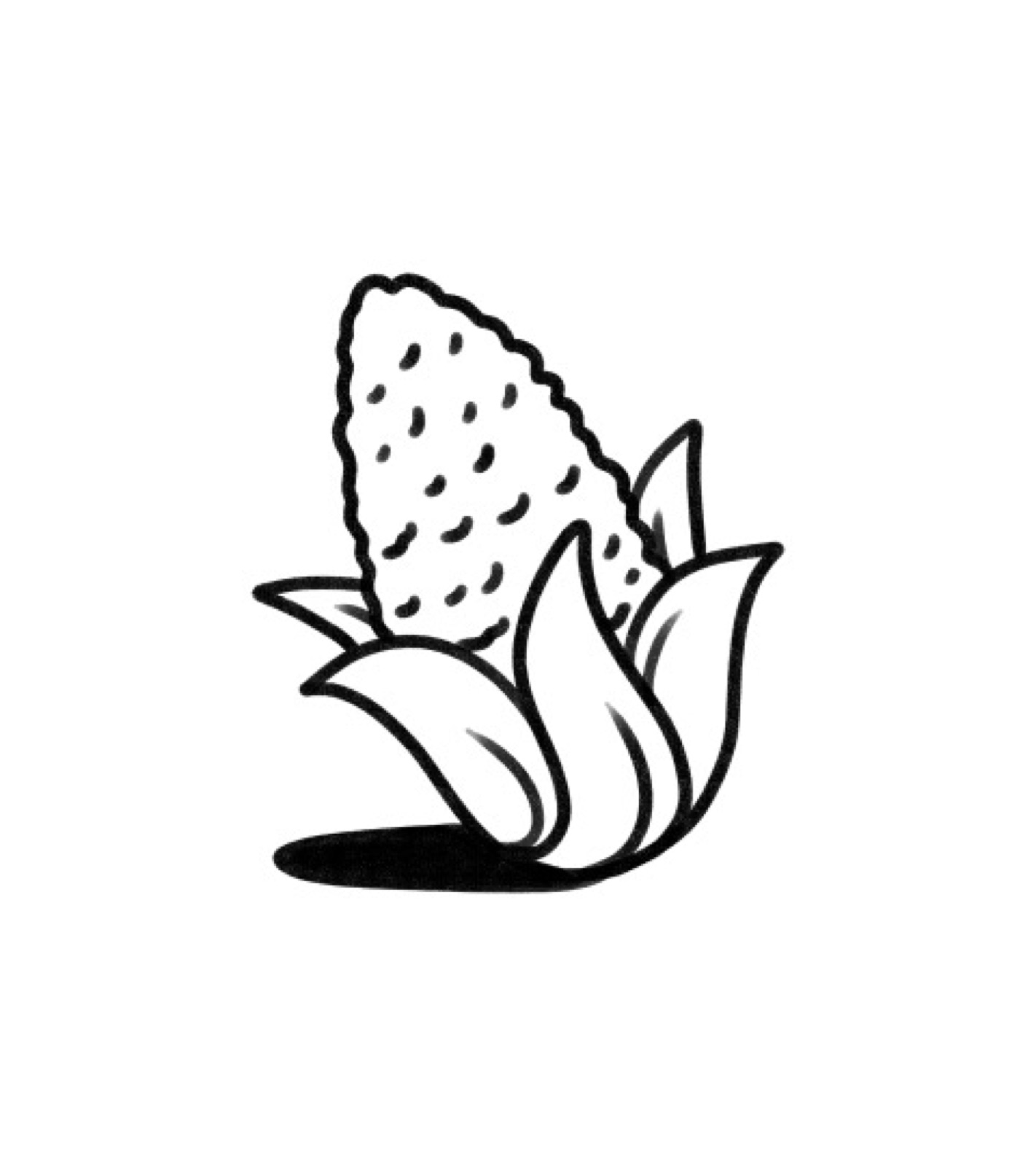 Hale & Hearty — illustrations