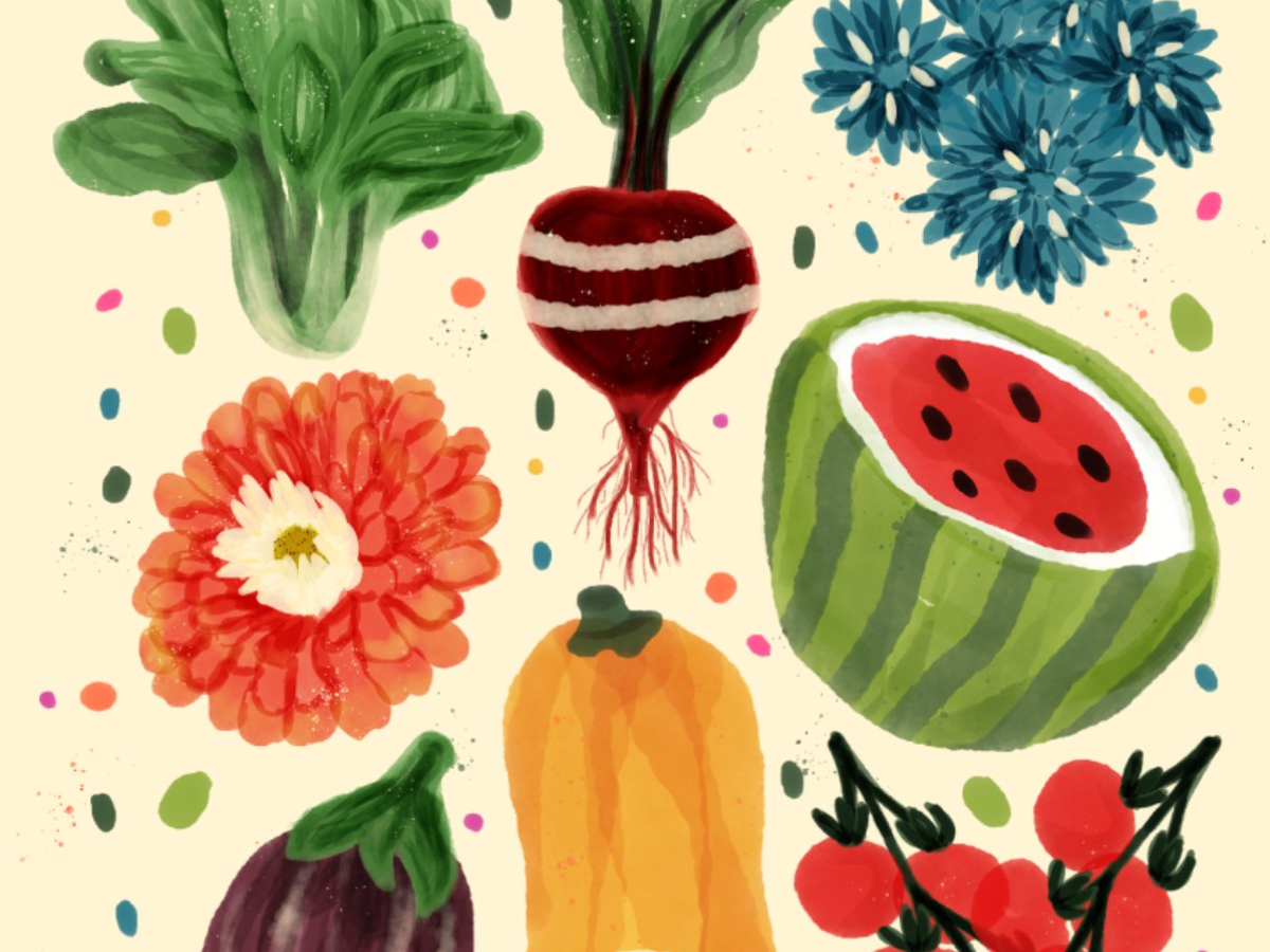 Dreamland Harvest