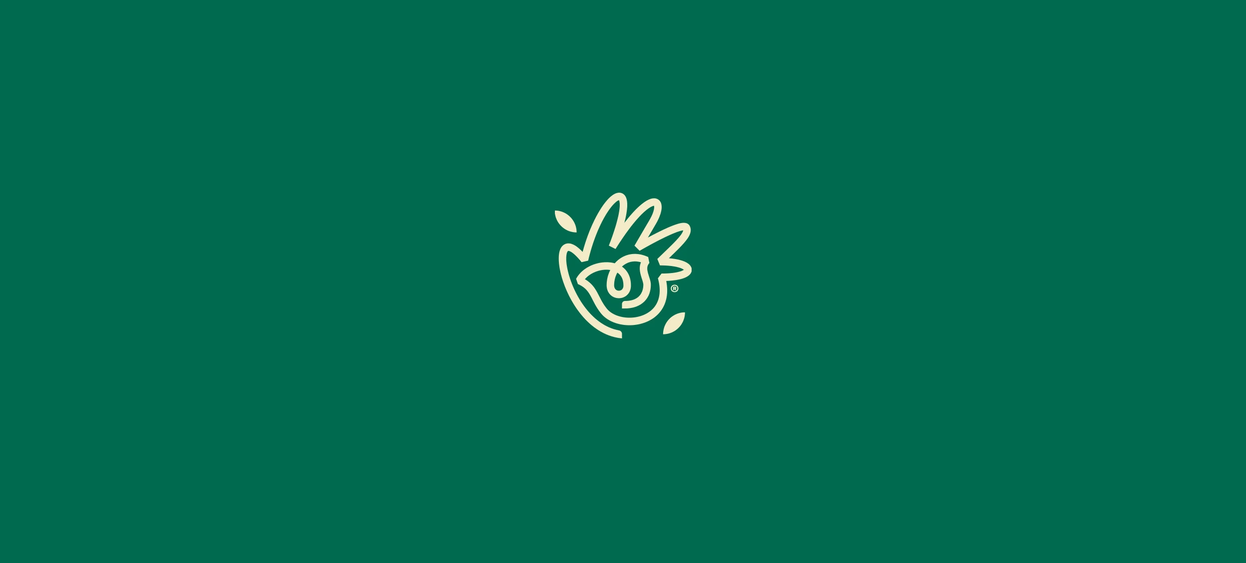 Tulipán — tulips