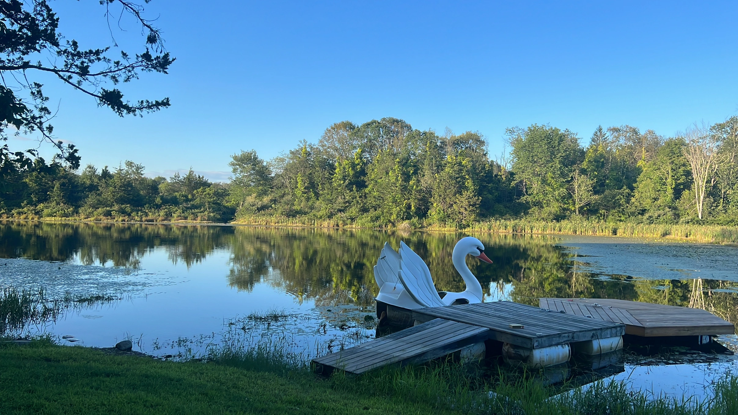 Dreamland
