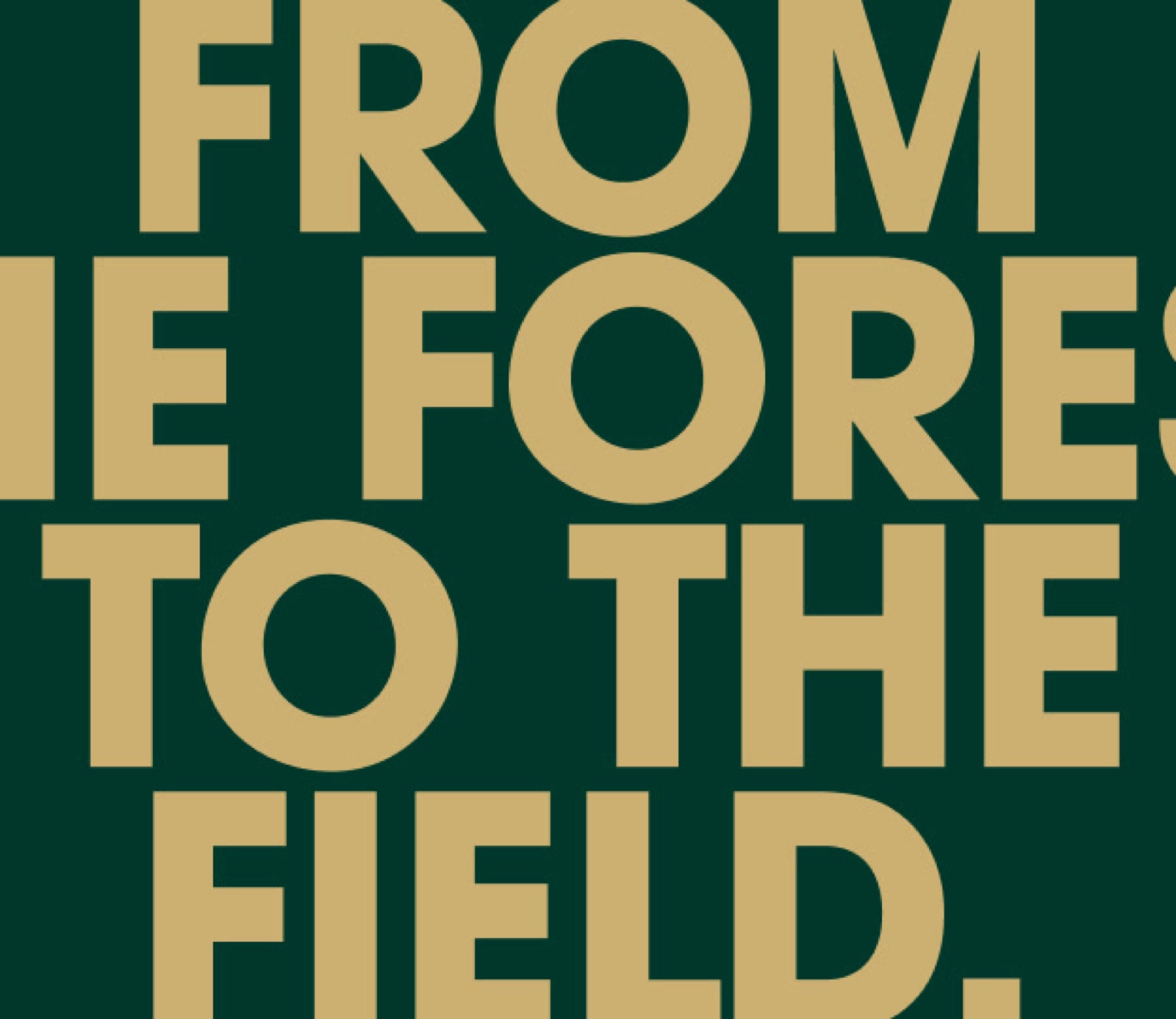 Rol·In Fields Center