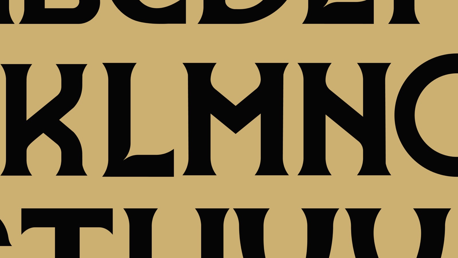 Rol·In Fields Center