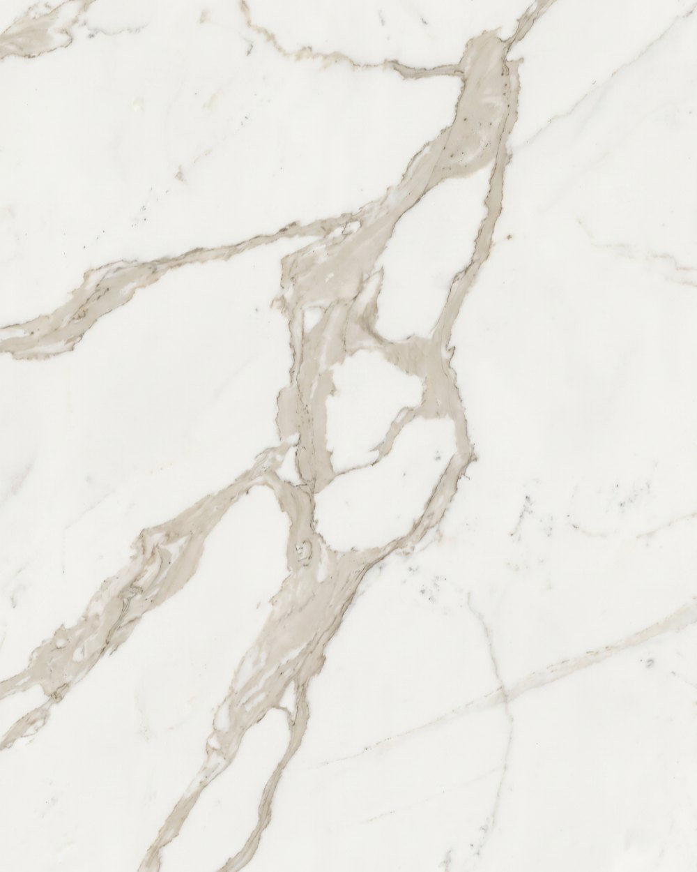 Rustic Pines — marble