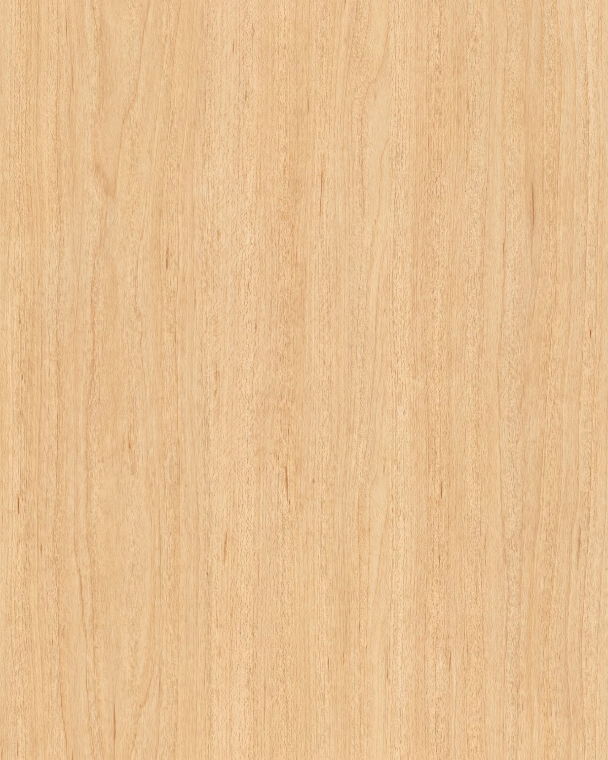 Rustic Pines — oak