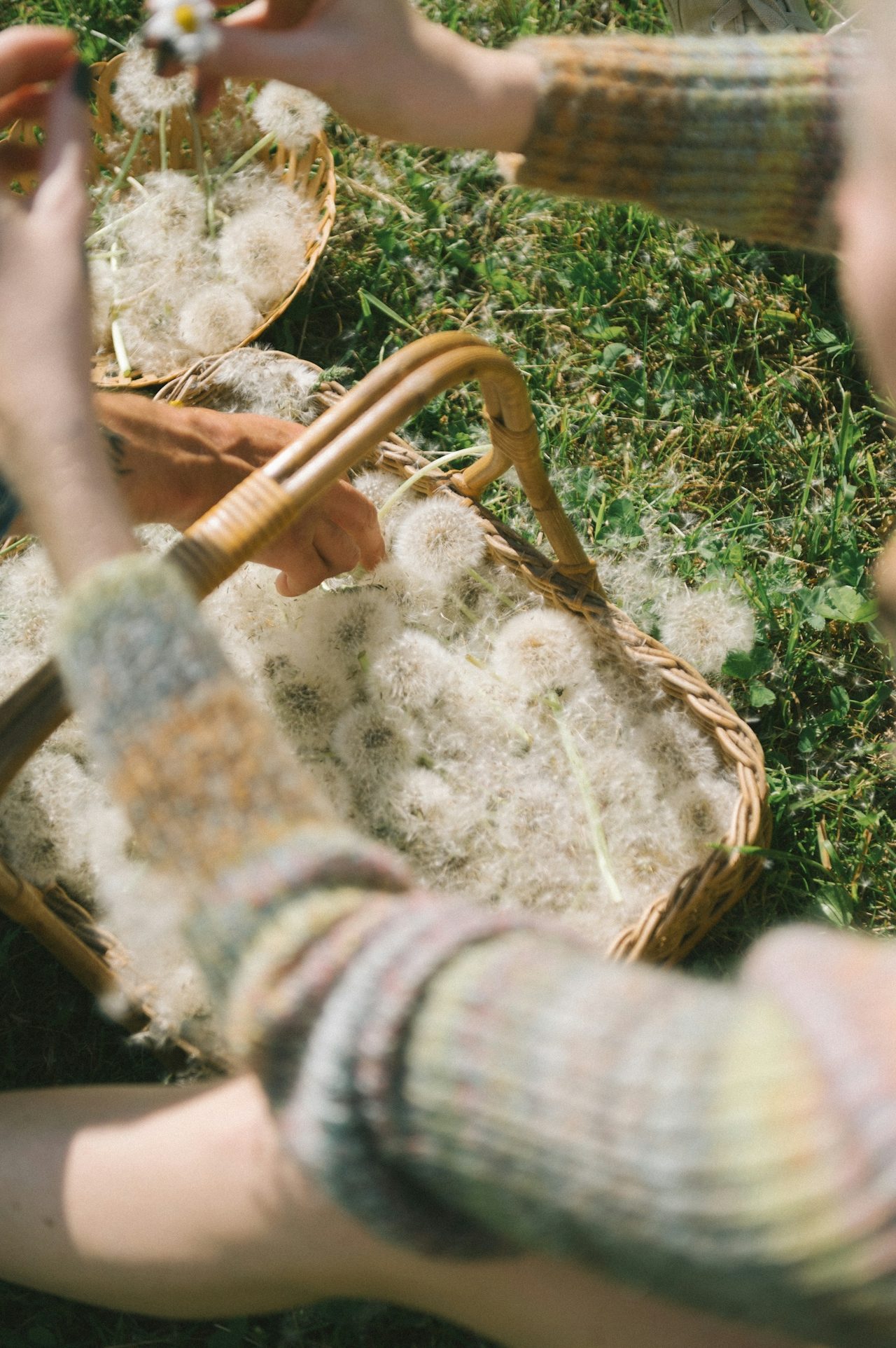 Scandecor — wool gathering