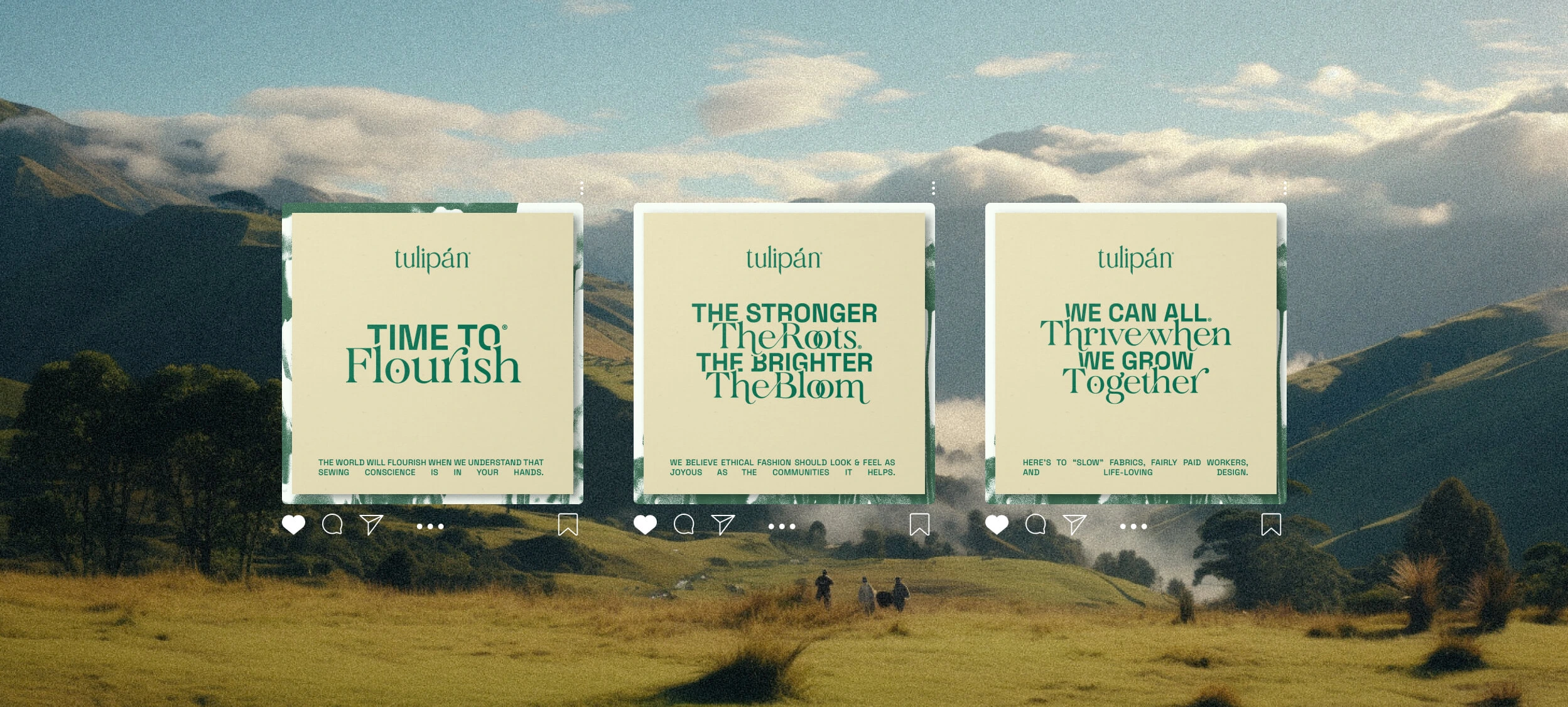 Tulipán — social