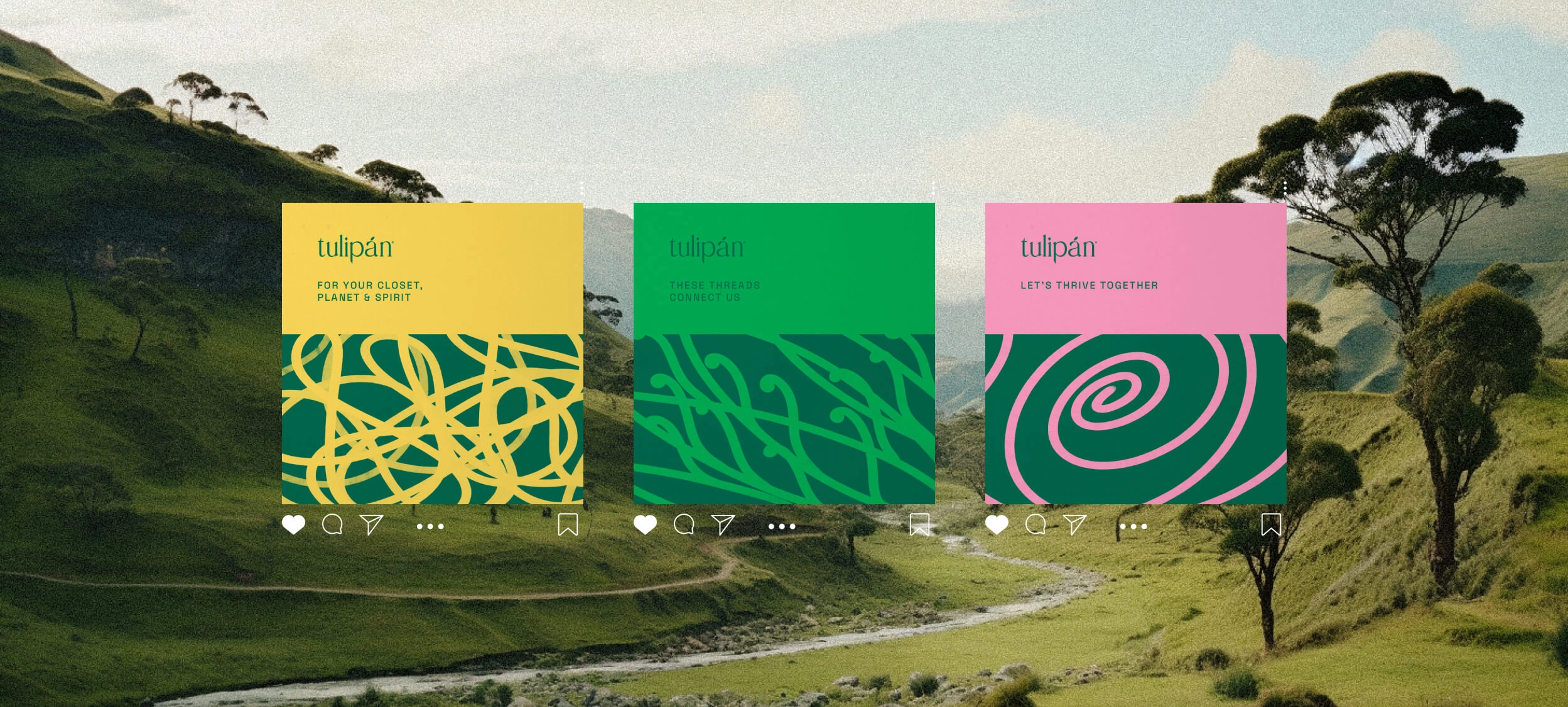 Tulipán — social