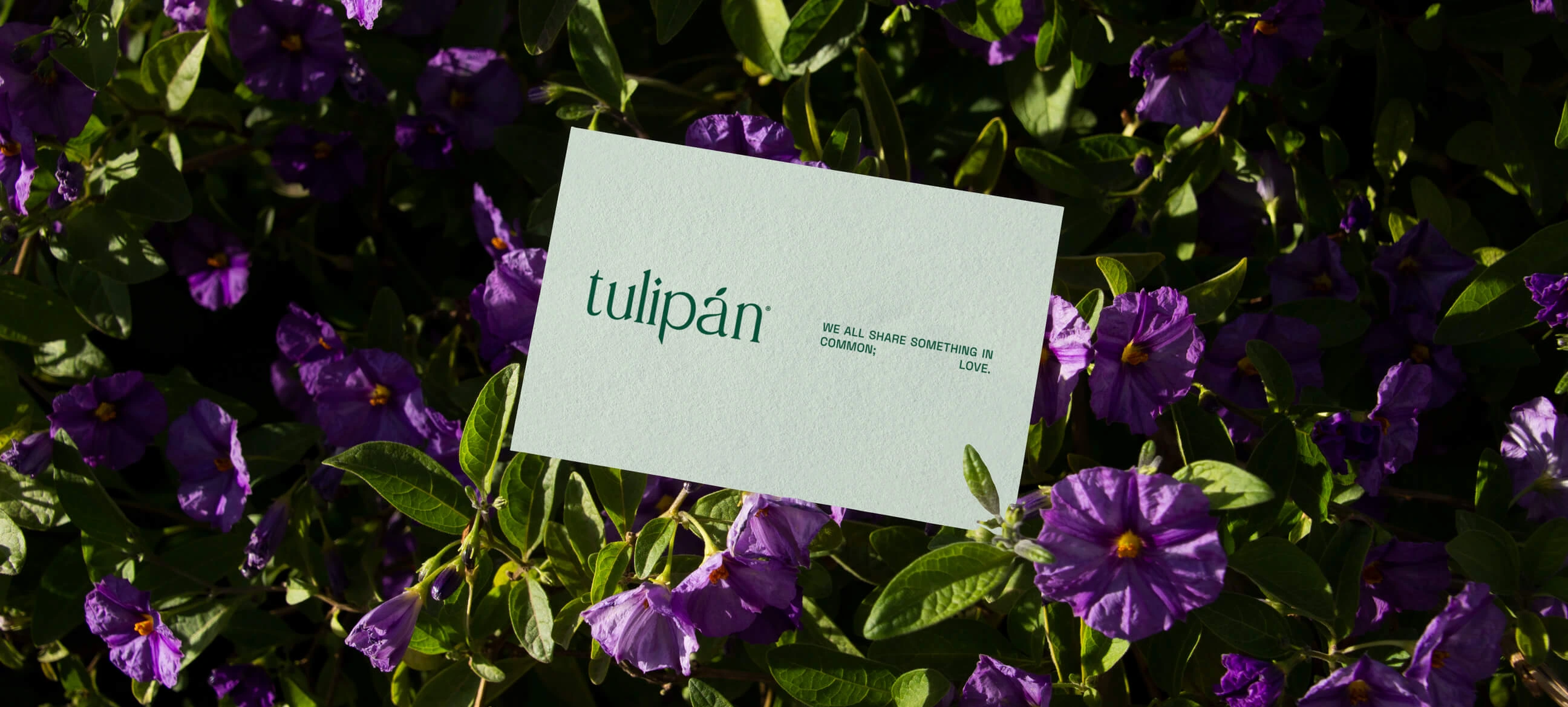 Tulipán — business card